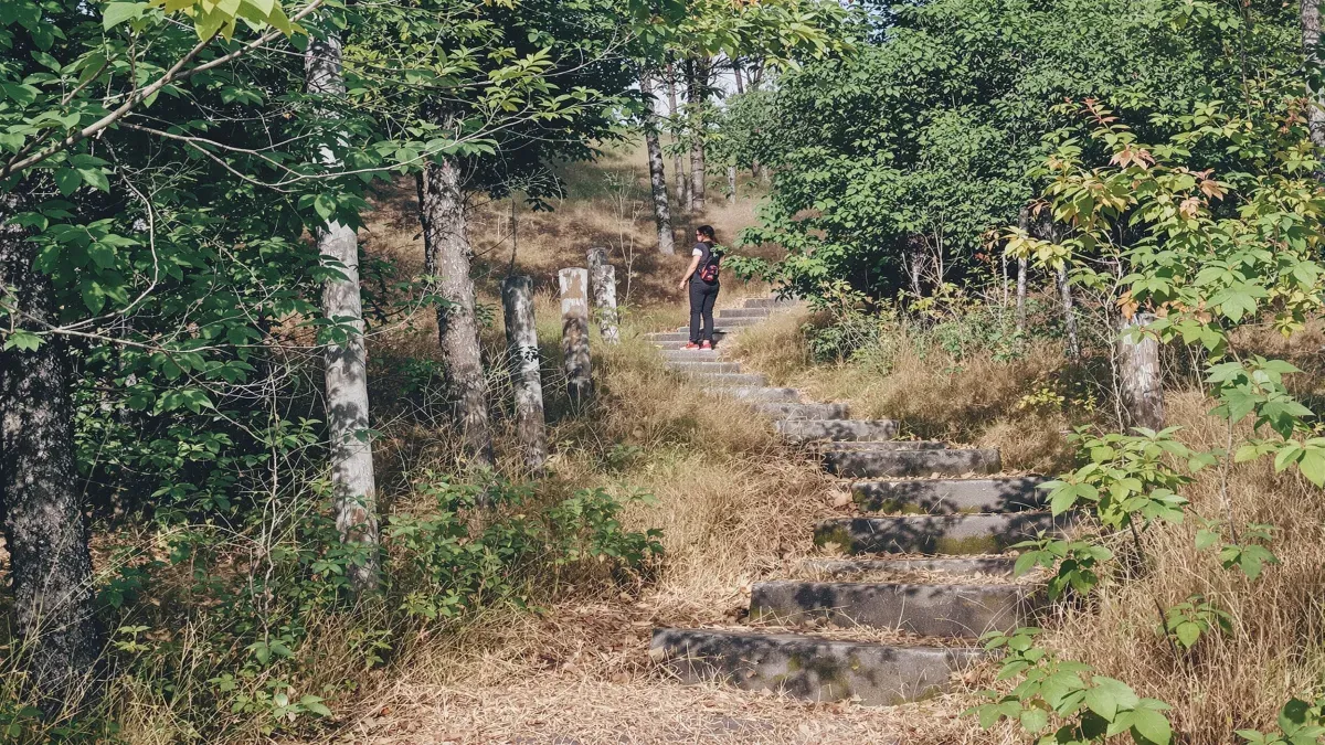 Personne marchant sur un sentier forestier